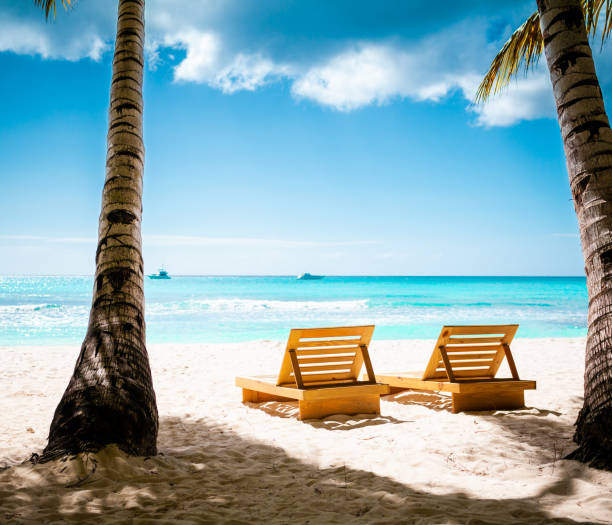 istock Tropical white sand beach with palms and sea 1407492304