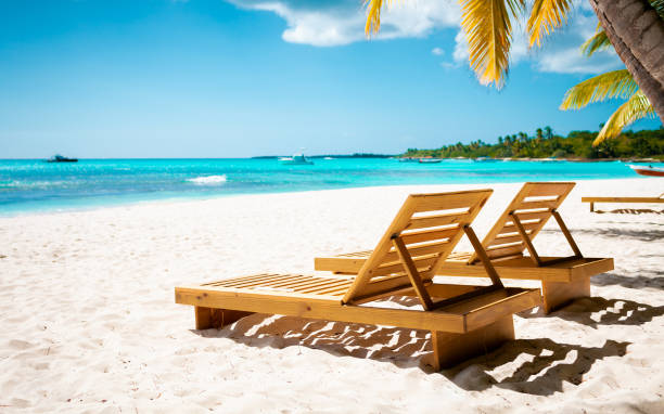 istock Tropical white sand beach with palms and sea 1407492322
