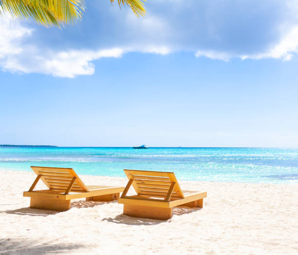 istock Tropical white sand beach with palms and sea 1407492761