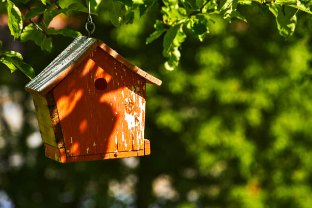 istock Birdhouse hanging in a tree 1407494454