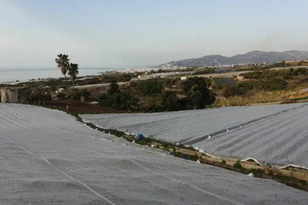 Greenhouse of white plastic showing structure by the sea and mountains