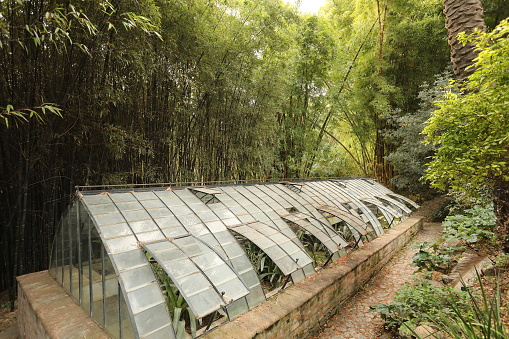 Old greenhouse in a French mansion