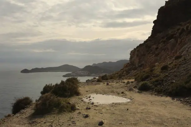 Mountain view with rocks, green plants, flowers, path, view on sea, dry hot seasonal climate Andalusia Spain