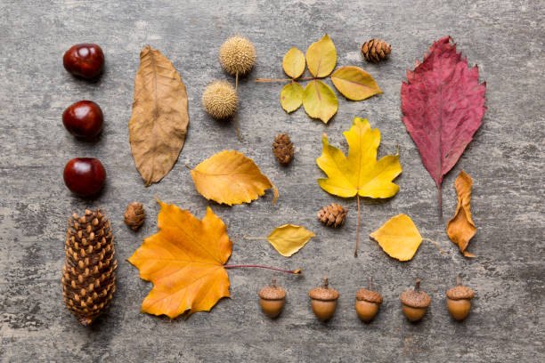 istock Autumn composition. Pattern made of dried leaves and other design accessories on table. Flat lay, top view 1407496675