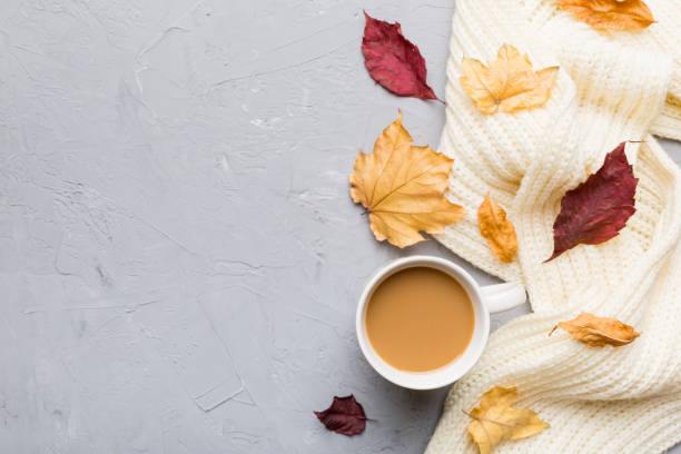 istock Cup of cocoa with autumn leaves abstract still life top view vith copy space 1407496719