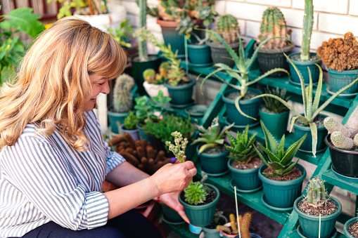 Photo of mature woman taking care of her plants on a balcony garden