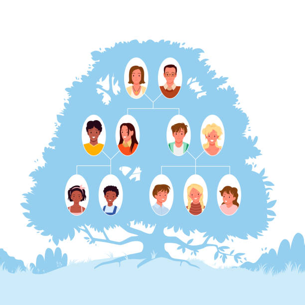 illustrazioni stock, clip art, cartoni animati e icone di tendenza di diagramma della generazione dell'albero genealogico - origins oak tree growth plant