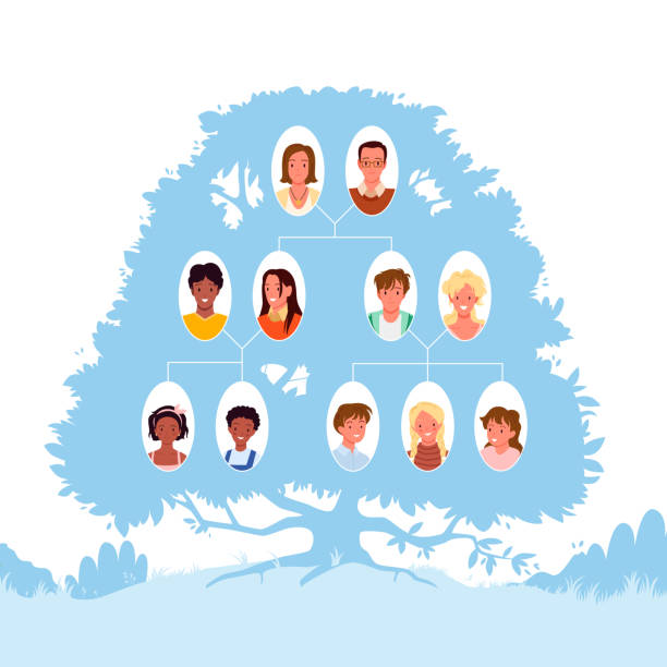 Diagram of family tree generation Diagram of family tree generation. Genealogy group members presentation, grandparents and parents, children and grandchildren, people relationships and history vector illustration pics of family tree chart stock illustrations