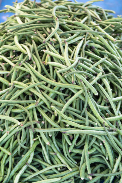istock kidney beans at the grocery store 1407500817
