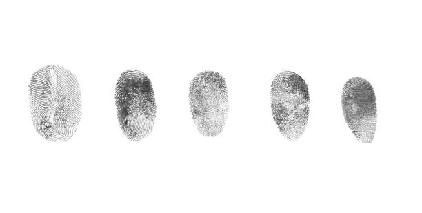 istock Many black fingerprints made with ink on white background, top view 1407503156