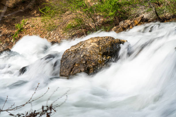 istock River cascades in the forest 1407503214