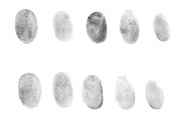istock Many black fingerprints made with ink on white background, top view 1407503857