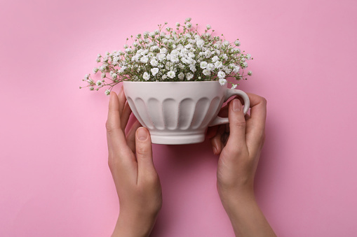 Top view of woman holding white cup with gypsophila on pink background, closeup