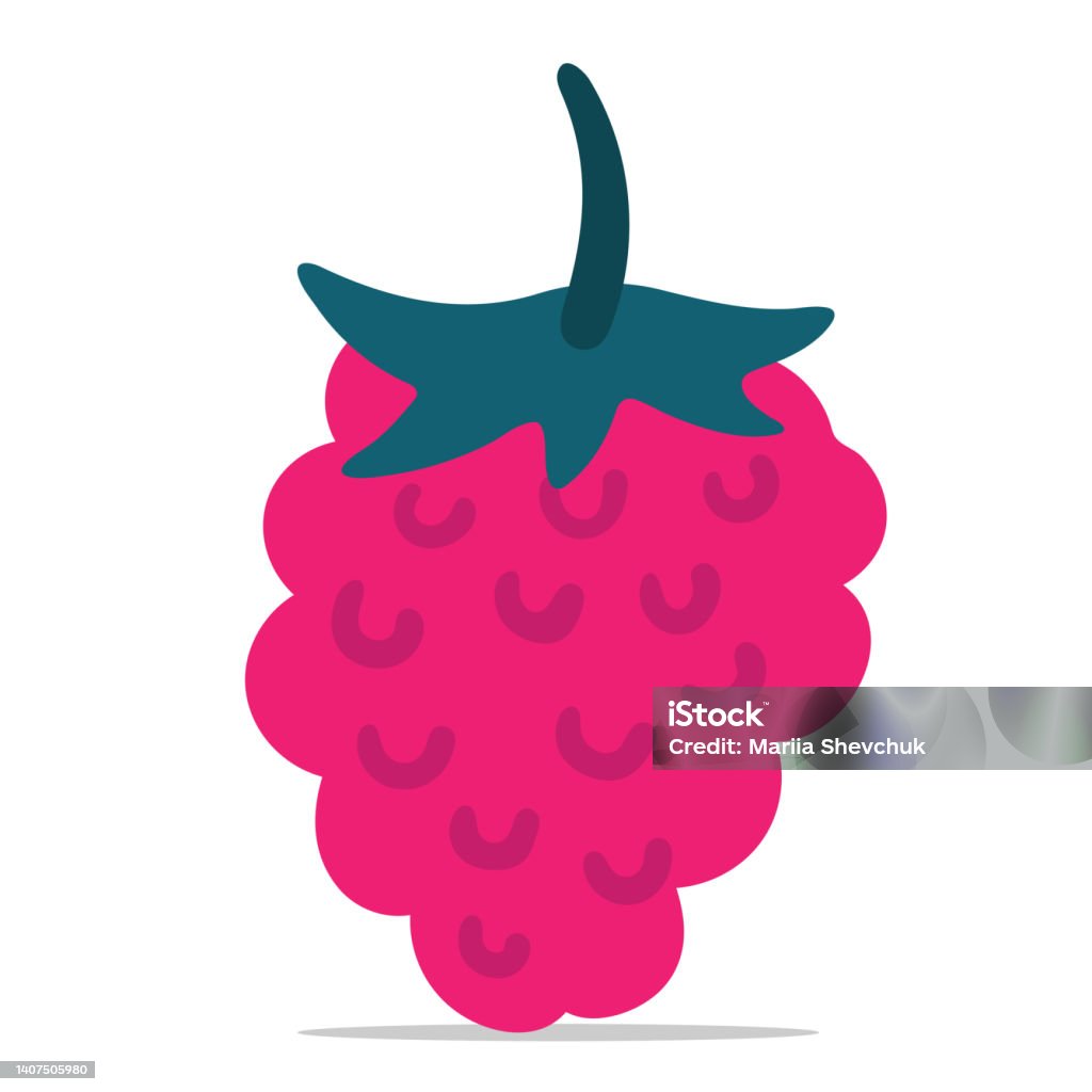 Ilustrasi Raspberry Pi Raspberry Yang Digambar Tangan Dengan Ilustrasi Vektor Daun Clipart ...