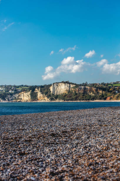 istock Lyme Regis JUrassic Coast 1407506008