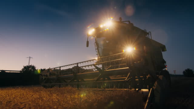 Harvester combine at night harvesting wheat on agricultural field with headlight