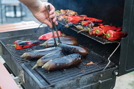 Vegetables and meat on the grill, close up