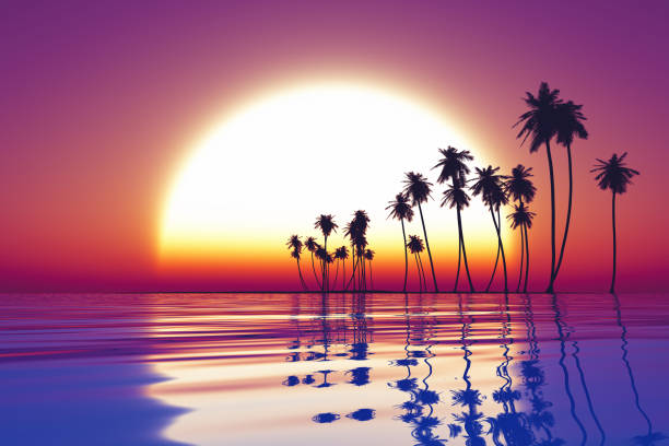 istock sunset over tropic sea 1407509709