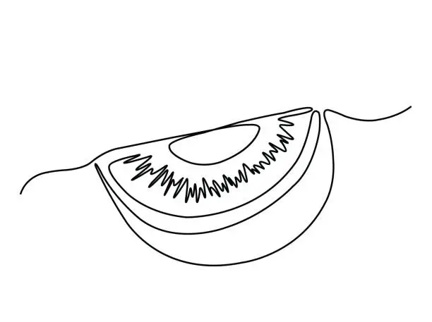 Vector illustration of one line kiwi fruit illustration drawing. line art kiwi piece abstract vector