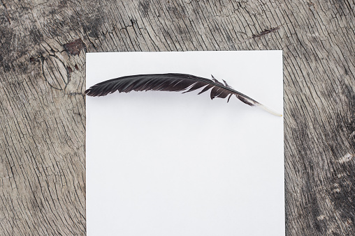 a quill and a sheet of paper