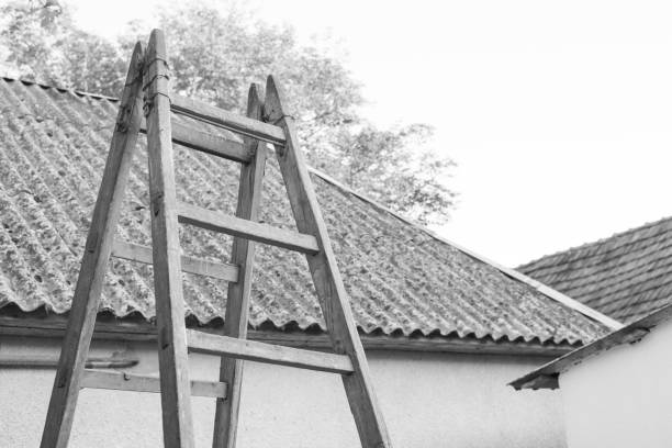 wooden ladder