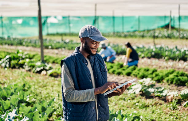istock Happy young farmer using digital tablet while working on organic sustainable farm to cultivate vegetation in agribusiness. Man using technology to prepare harvest and monitor greenhouse plant growth 1407520358