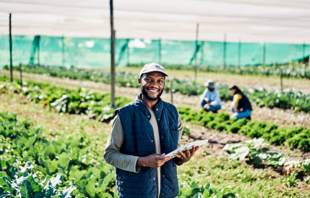 istock Portrait of happy young farmer using digital tablet while working on organic sustainable farm to cultivate vegetation in agribusiness. Man using technology to prepare harvest and monitor plant growth 1407520548