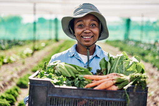 Portrait of one happy young farmer and manager holding crate full of freshly harvested raw produce on sustainable farm. Smiling woman working in organic garden to cultivate vegetables in agribusiness