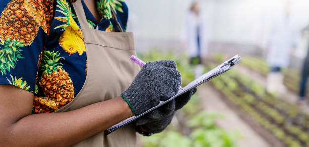 Portrait happy sme owner African woman work with clipboard gardening vegetable farm, nursery worker planting in organic farm, startup small business sme owner, black farmer, fresh vegan food concept retrato feliz dueña de una pyme mujer africana trabajo con portapapeles jardinería granja de verduras, trabajador de vivero plantando en granja orgánica, propietario de una pequeña empresa de inicio, agricultor negro, concepto de comida vegana fresca