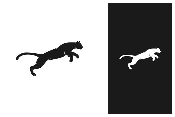 springender puma, tiger, jaguar, löwe logo design silhouette vektor illustration - leopard jaguar animal speed stock-grafiken, -clipart, -cartoons und -symbole