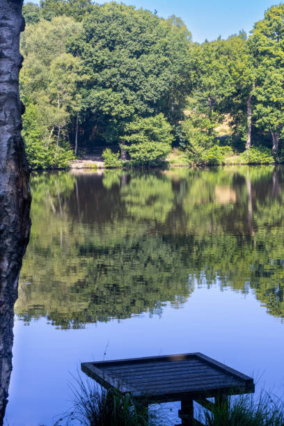 istock Douster Pond in Buchan Country Park 1407525182