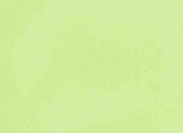 istock Pastel green color paper texture for background 1407525193