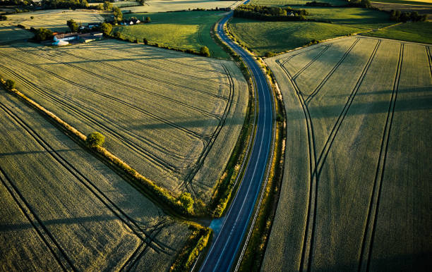 istock Road in agricultural landscape 1407532251