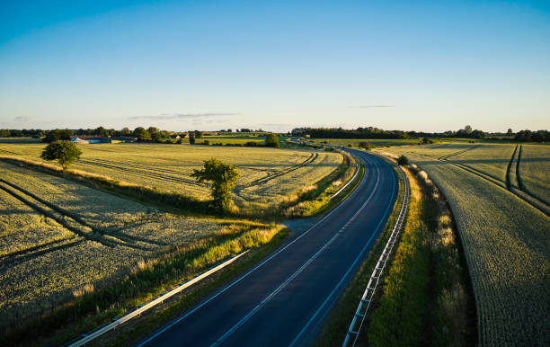 istock Road in agricultural landscape 1407533055