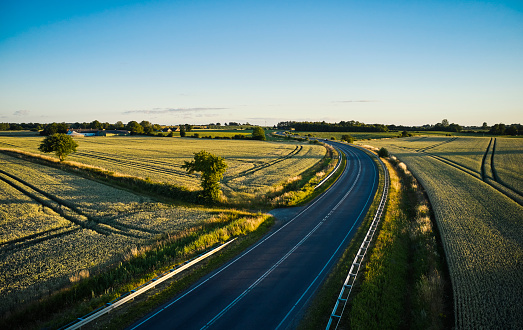 Two lane road dividing farmland. Summer and sunset with long shadows. Aerial photo from drone point of view.