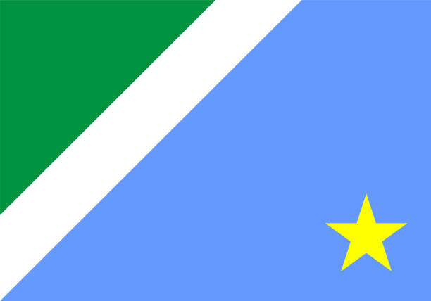 Flag of Mato Grosso do Sul state (Federative Republic of Brazil) Flag of Mato Grosso do Sul state (Federative Republic of Brazil) flat country stock illustrations