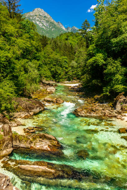 benvenuti nella splendida valle dell'isonzo nelle vicinanze delle alpi giulie - lake bohinj foto e immagini stock