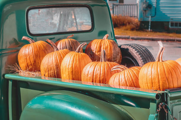 pumpkins on the back of an old classic truck - pumpkin patch imagens e fotografias de stock