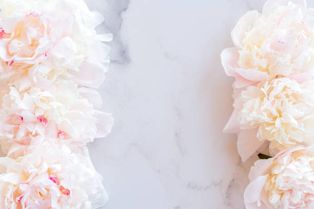 istock Flower frame greeting card with peonies on marble background. Space for design or text 1407541585
