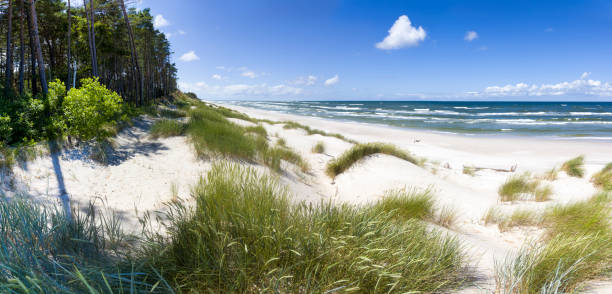 Vacations in Poland - the Baltic coast near Leba in Pomorskie province