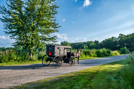 Amish Buggy Early Morning on rural Indiana Road