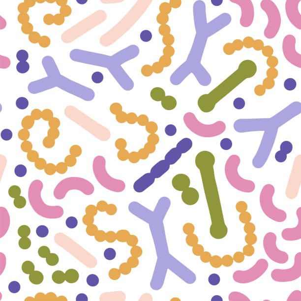 Microbiome seamless pattern. Probiotic bacteria background with lactobacillus, bifidobacteria, acidophilus. Flat simple vector illustration. Microbiome seamless pattern. Probiotic bacteria background with lactobacillus, bifidobacteria, acidophilus. Flat simple vector illustration bifidobacterium stock illustrations