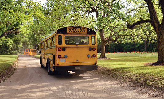 School buses, South Carolina, USA.