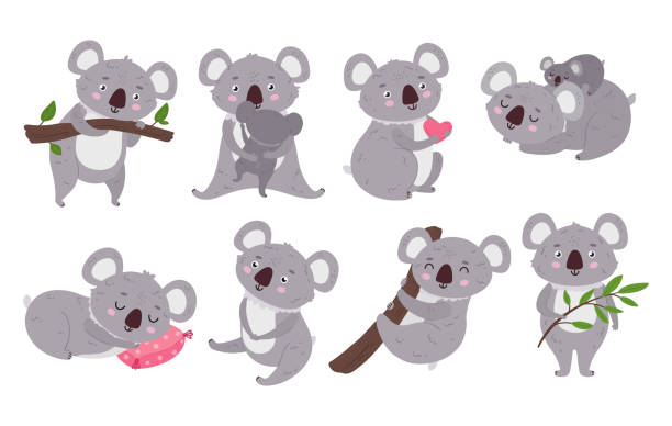만화 코알라. 귀여운 호주 곰 수면, 나뭇 가지에 야생 코알라, 아기 벡터 일러스트 레이 션 세트가있는 동물 - koala stock illustrations