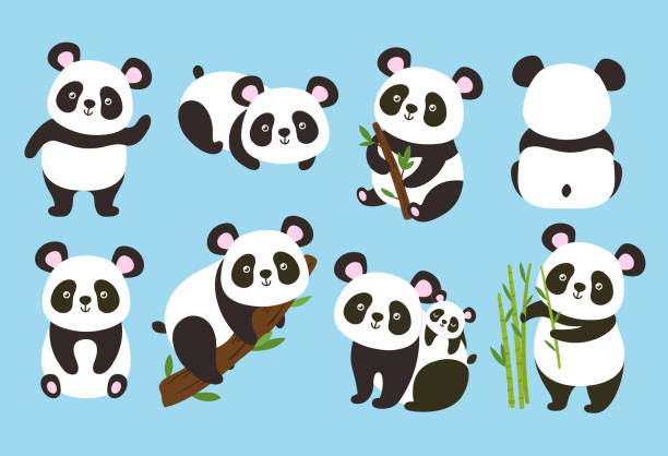 Cartoon pandas. Cute baby bear with bamboo and tree branches, panda in different poses vector illustration set Cartoon pandas. Cute baby bear with bamboo and tree branches, panda in different poses vector illustration set. Adorable asian characters eating leaves, animal parent sitting with kid on back panda species stock illustrations
