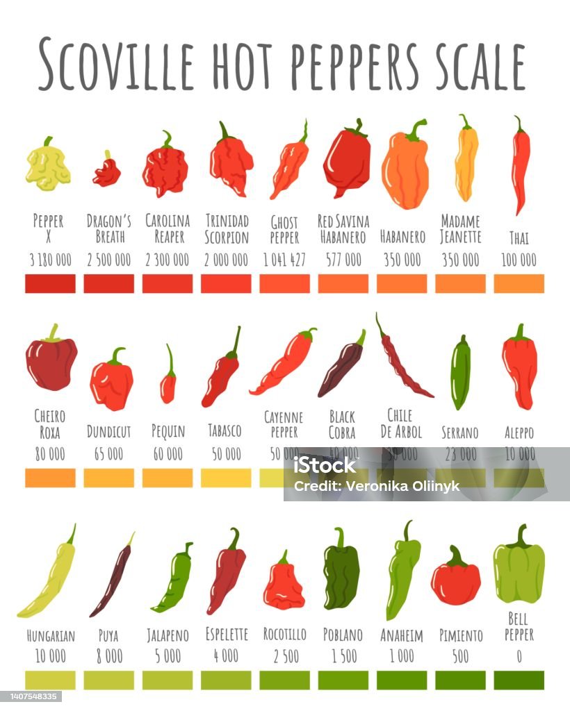 Skala Cabai Scoville Bagan Cabai Tingkat Pedas Dan Ilustrasi Vektor skala-cabai-scoville-bagan-cabai-tingkat-pedas-dan-ilustrasi-vektor