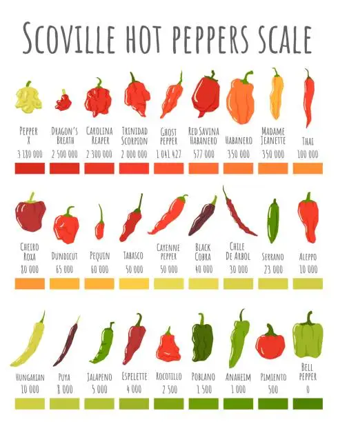 Vector illustration of Scoville hot peppers scale. Hot pepper chart, spicy level and scovilles heat units poster vector illustration