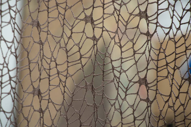 istock Wicker mesh of threads as background with soft blurred focus as background ,abstract 1407550130