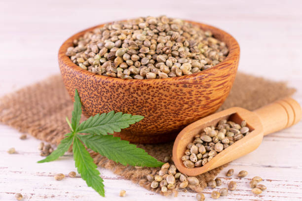 istock Hemp seeds in a wooden bowl. Close-up. 1407550131