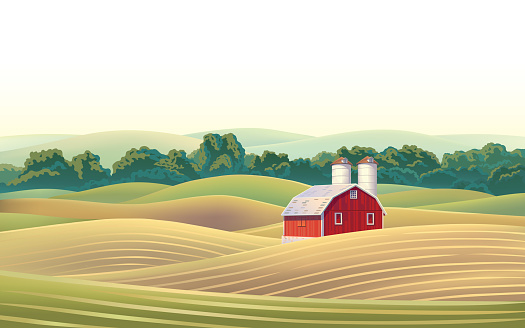 Rural landscape with a farm and agricultural fields. Vector illustration.